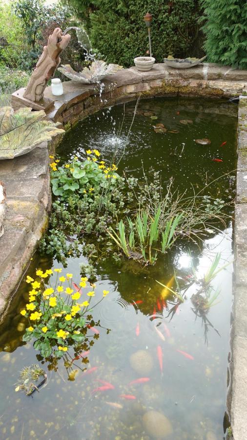 Le Jardin Des Secrets La Voivre (Vosges) Exterior foto